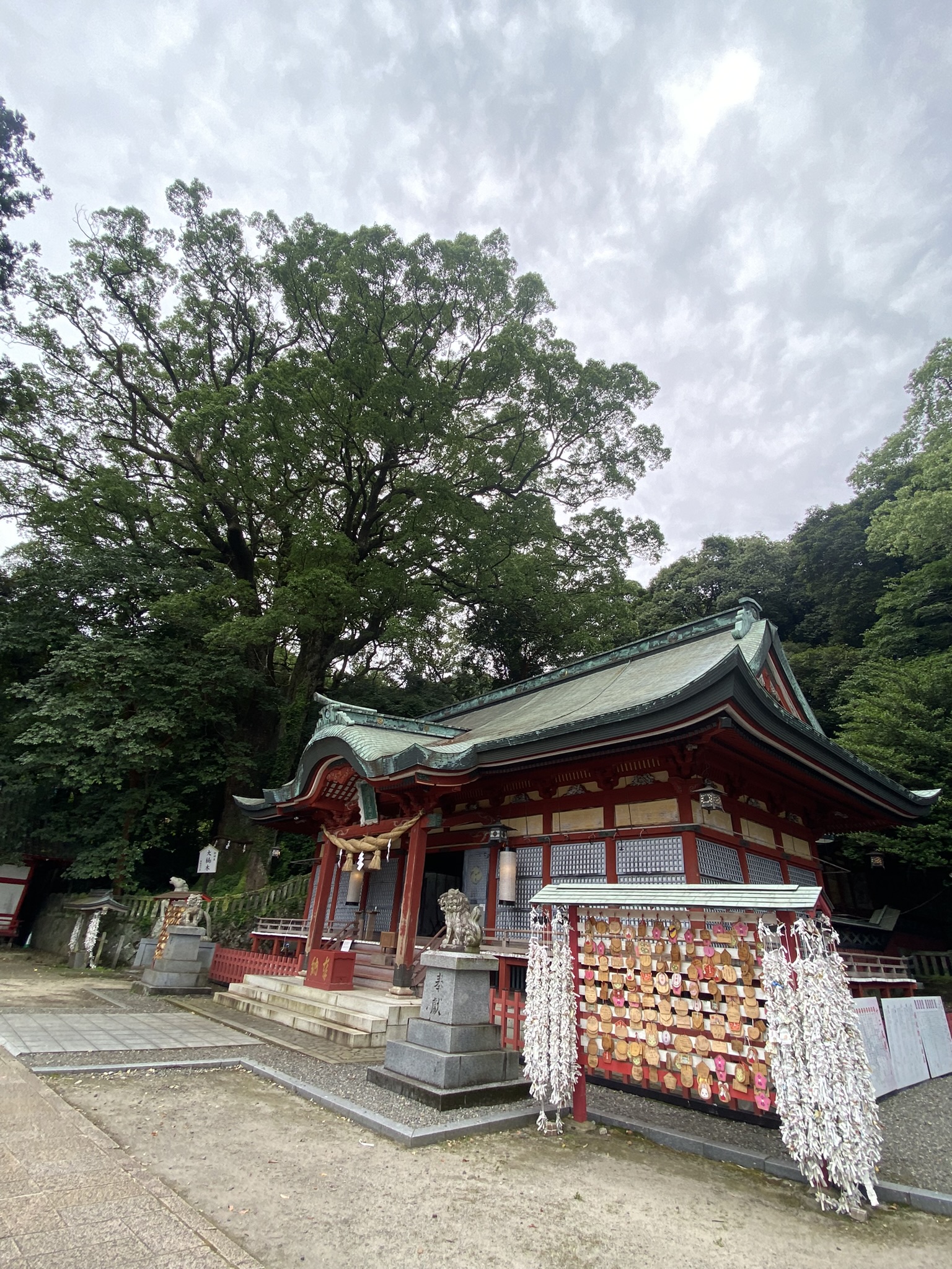 Small shrine building with many tied omikuji fortune papers at Beppu shrine