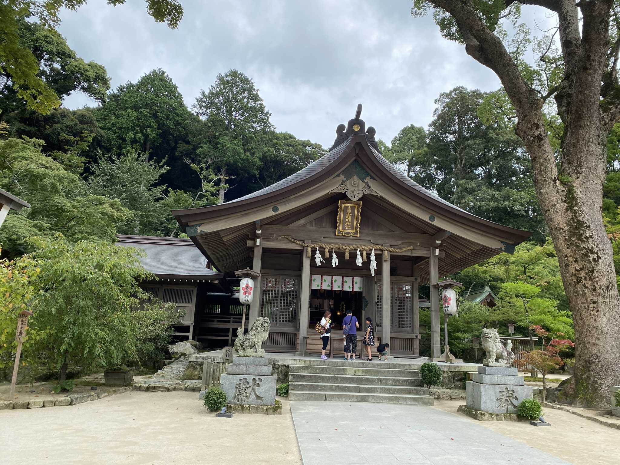 Dazaifu Tenmangu approach shopping street umegae mochi shops visitors new year crowd