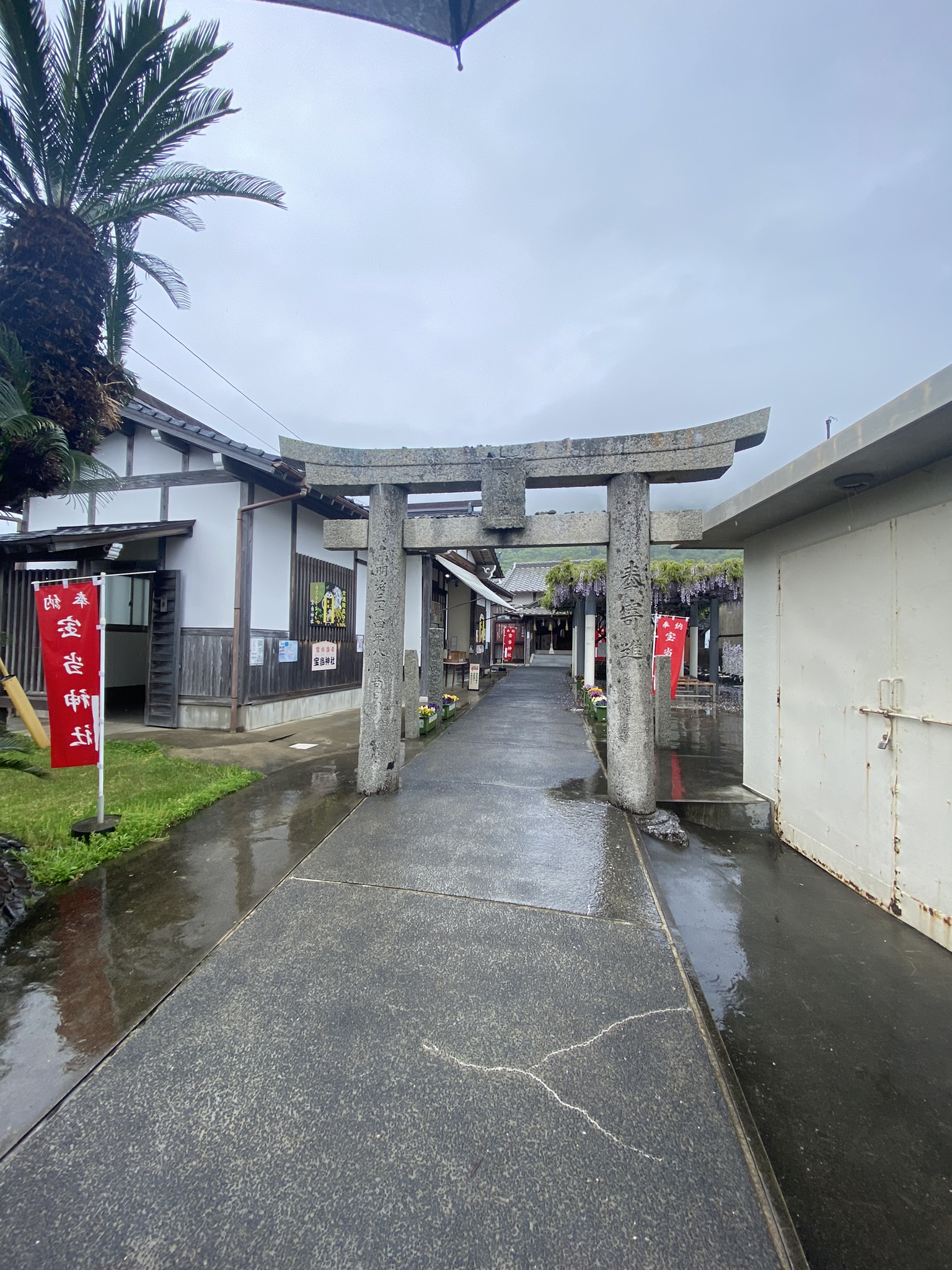 Hodou Jinja Takashima island cat wandering free relaxed island life many cats