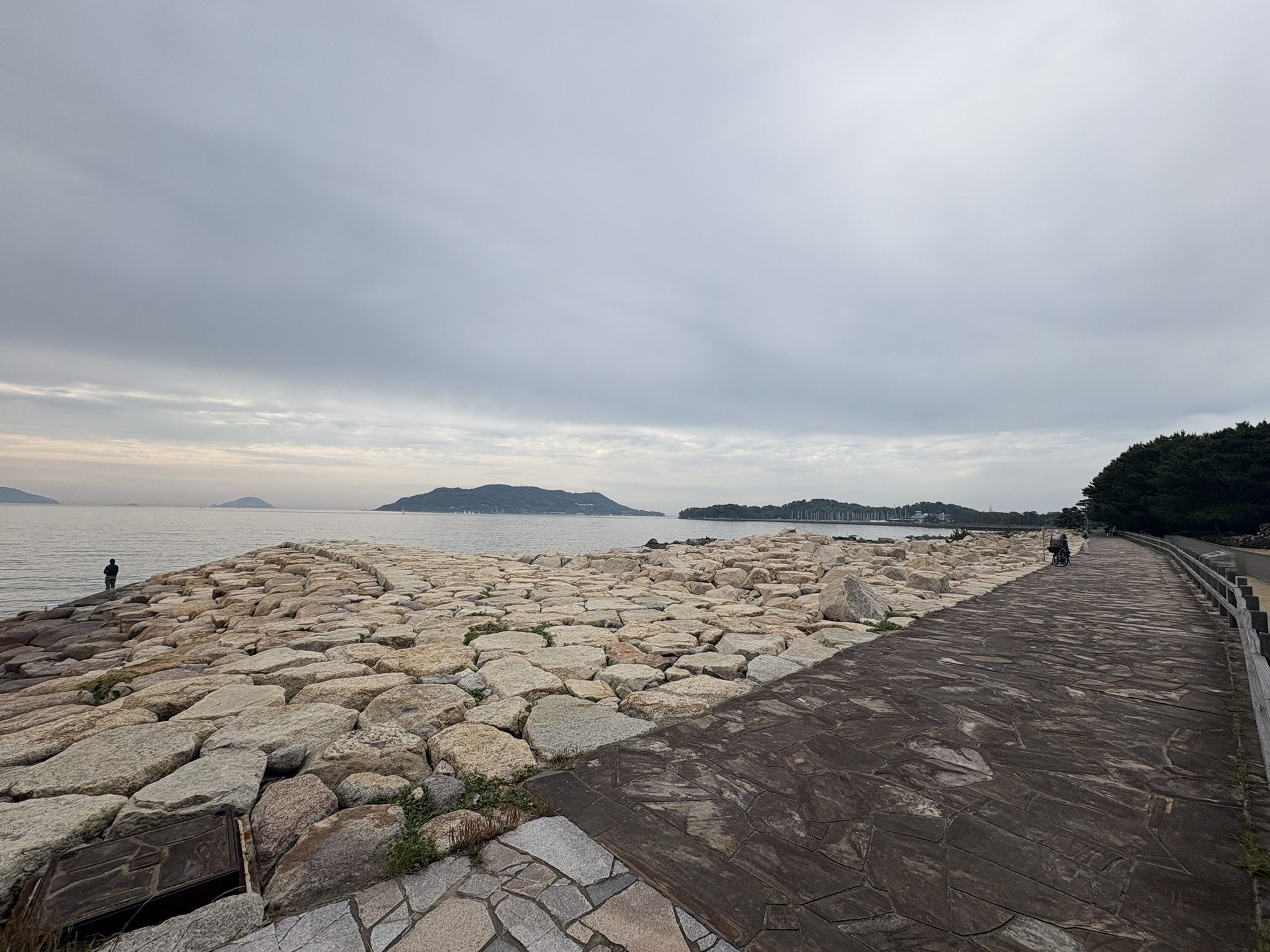 生の松原の海岸線。岩の突堤と海の眺め