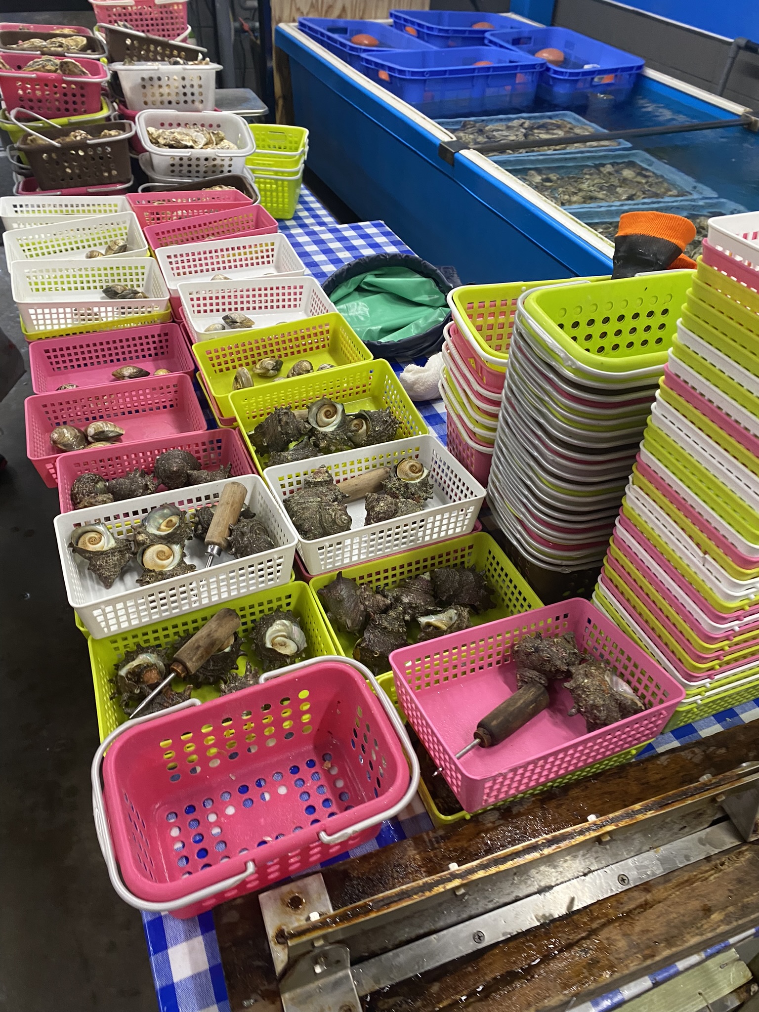 Itoshima kaki goya seafood selection counter colorful baskets oyster turban shell scallop choices