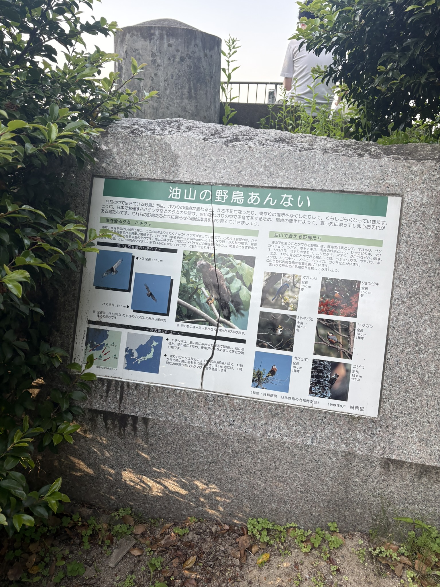 油山の野鳥あんないの案内板と展望台
