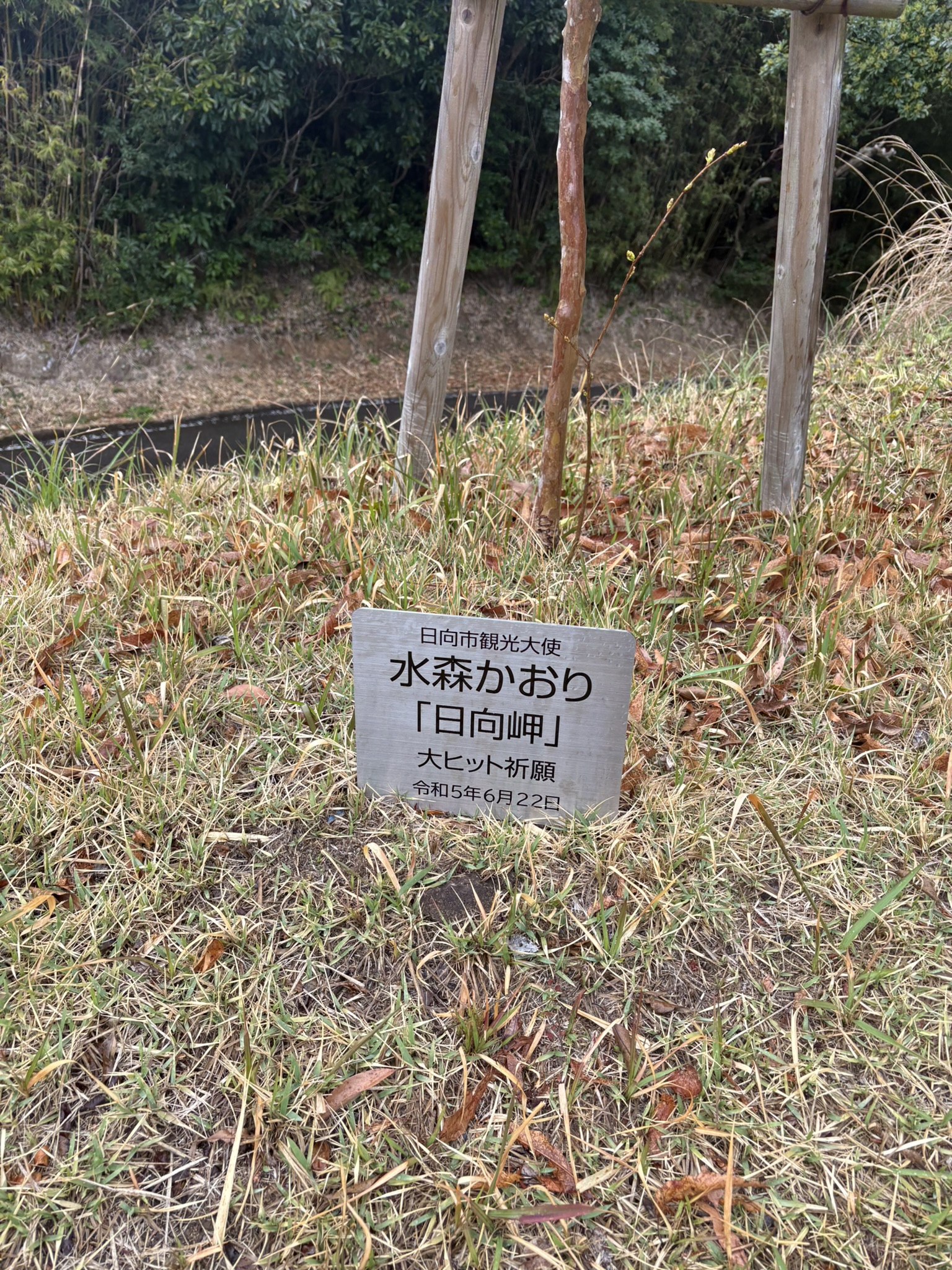 水森かおり「日向岬」大ヒット祈願の石板