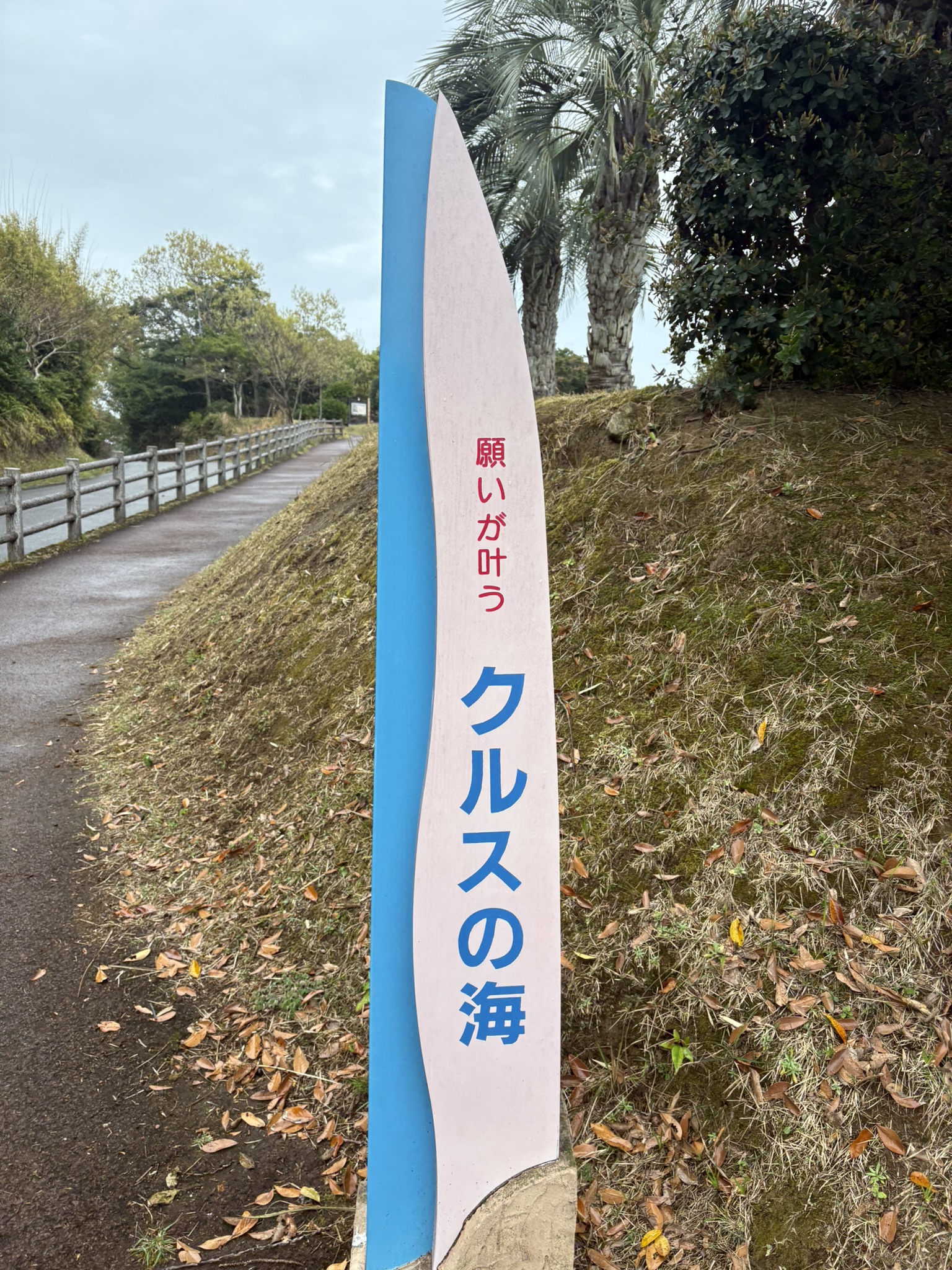 「願いが叶う クルスの海」の看板