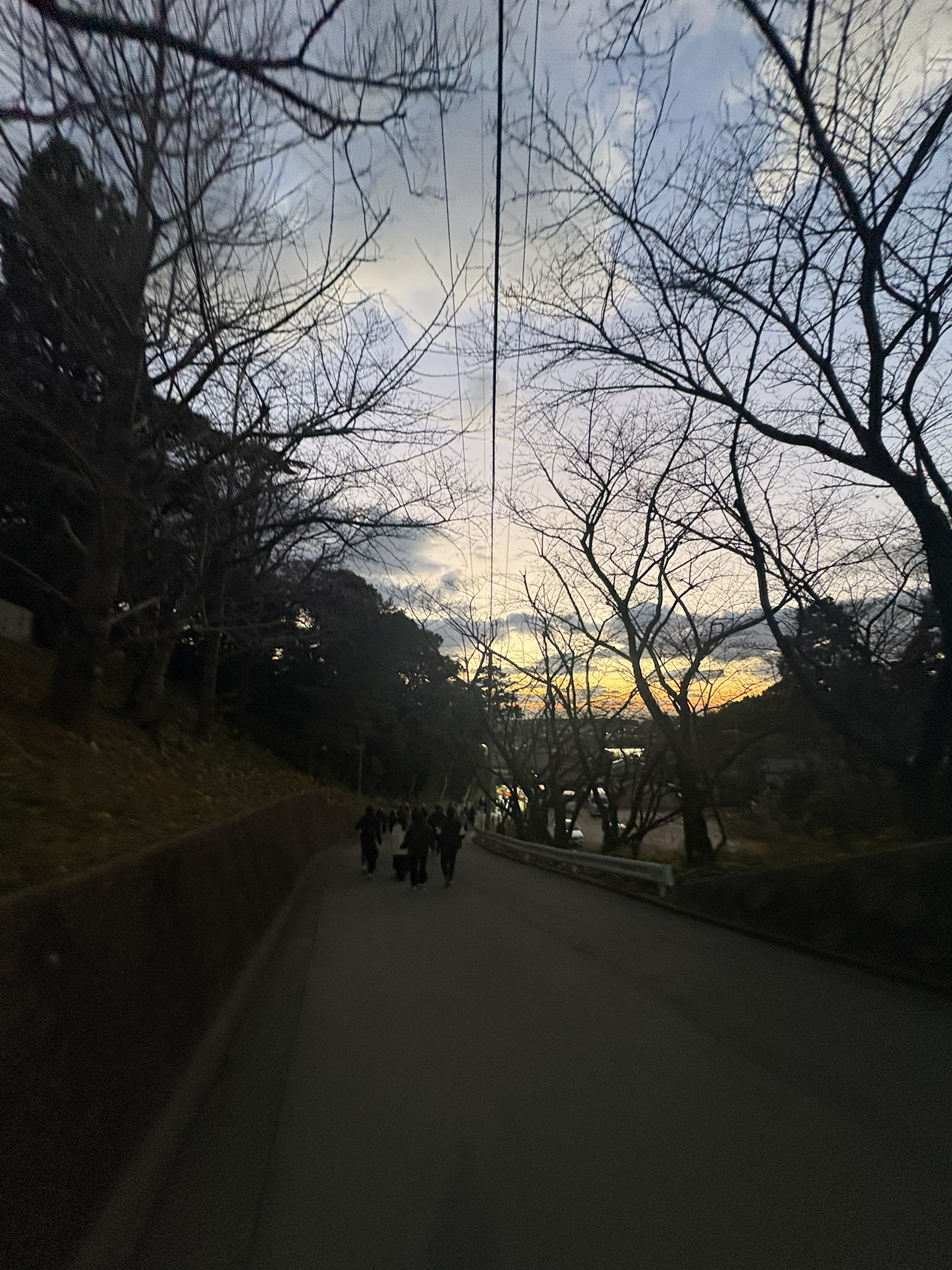 Miyajidake Shrine hatsumode crowd evening homeward bound visitors leaving approach winter