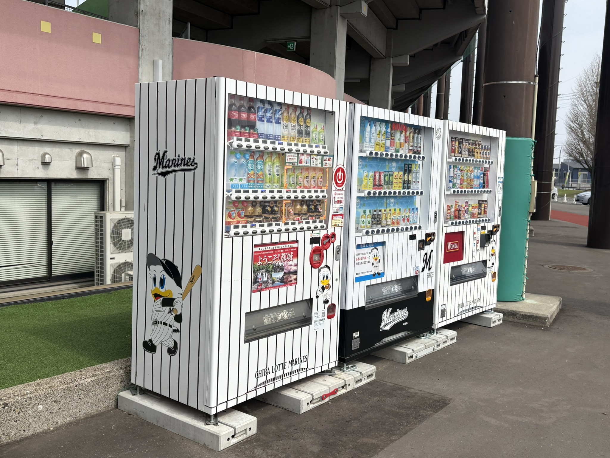 Miyakonojo Koala March Stadium seats atmosphere Azalea Miyakonojo small local football stadium
