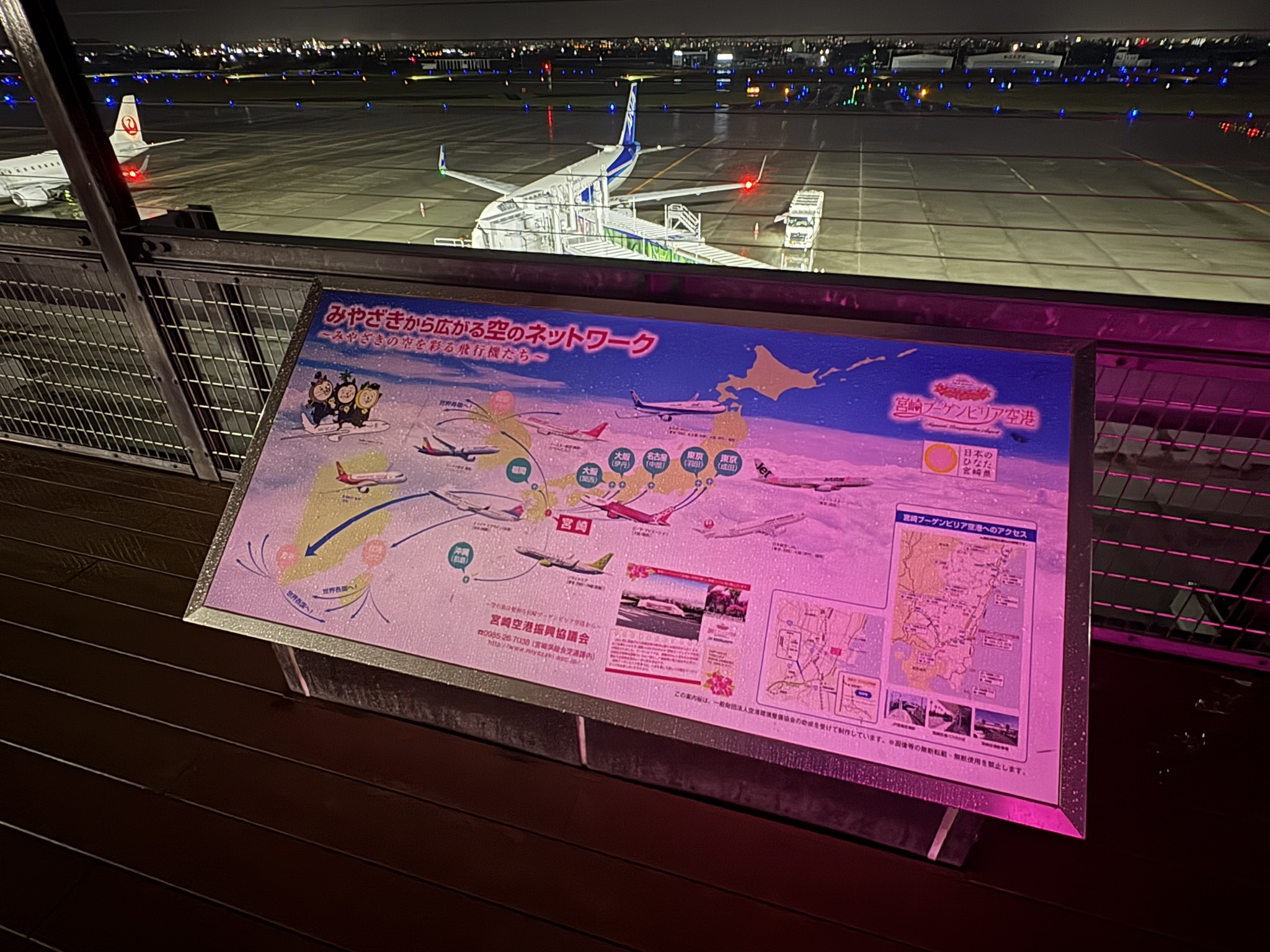 宮崎ブーゲンビリア空港の展望デッキ。夜のANA機が停まっている