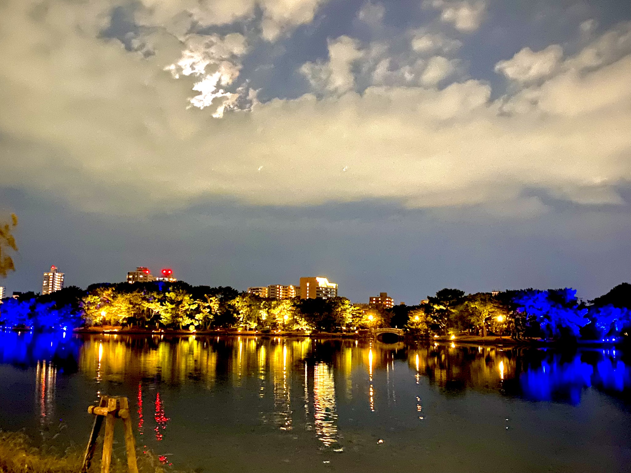 Ohori Park at night with illuminated trees and pond reflection in Fukuoka