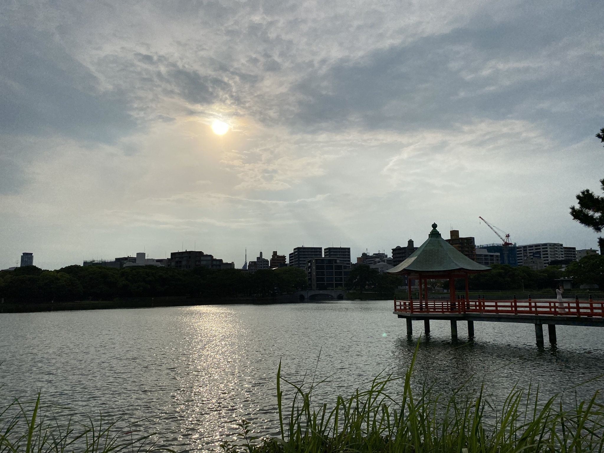 Ohori Park pond with pavilion and trees reflected in calm water at evening Fukuoka