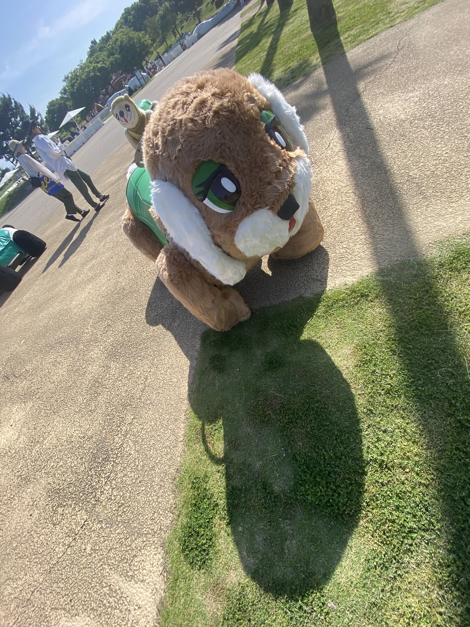 Saitozaki local event mascot character tanuki raccoon dog costumed performer outdoors