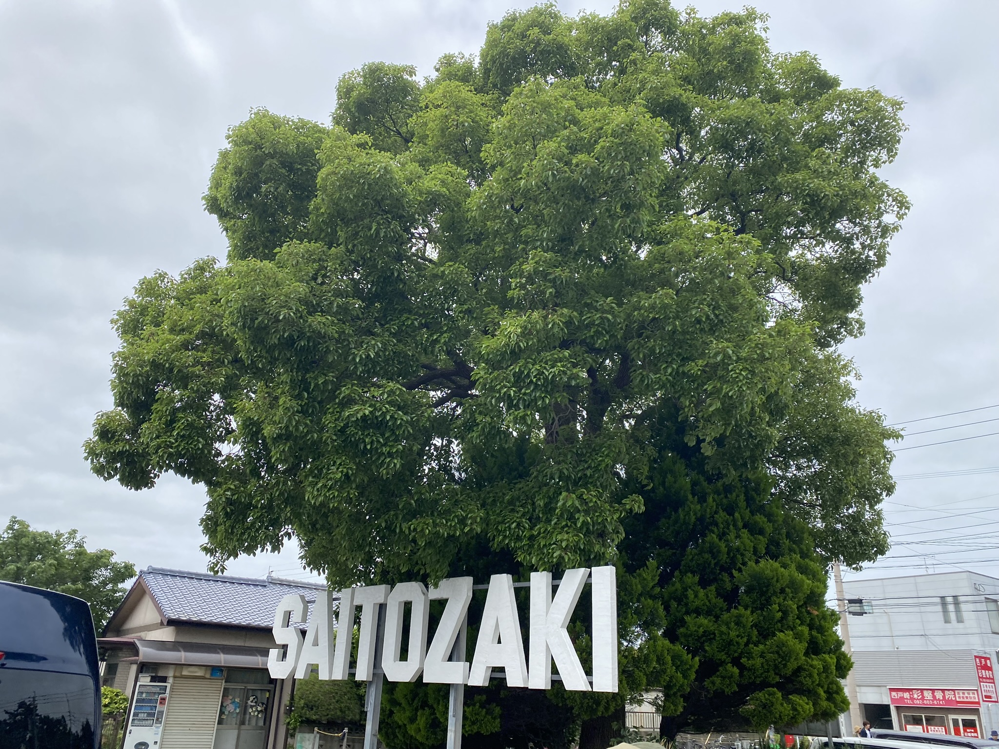 Large SAITOZAKI logo sign in front of a big tree at the entrance area