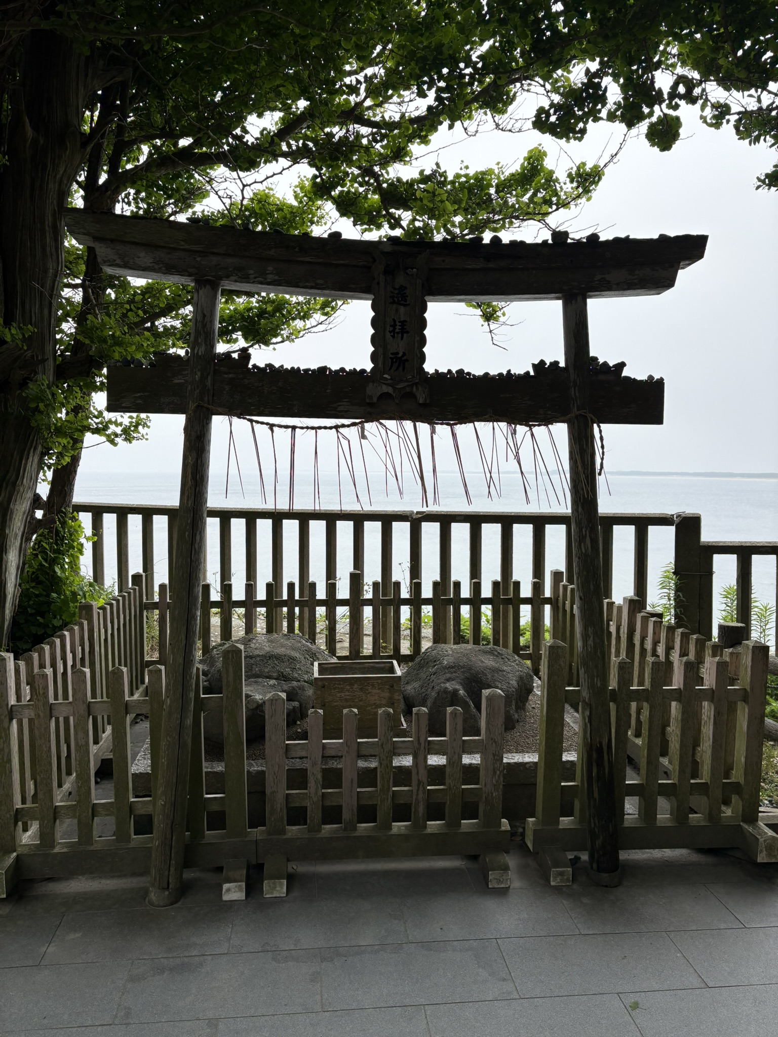 志賀海神社、海を望む鳥居